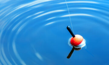 A fishing bobber floating in the water with ripples